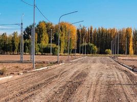  Terreno (Parcela) en venta en Confluencia, Neuquen, Confluencia