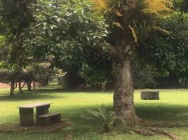  Terreno (Parcela) en venta en Xico, Veracruz, Xico
