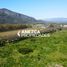  Land for sale in Rio Negro, Bariloche, Rio Negro