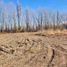  Land for sale in Confluencia, Neuquen, Confluencia