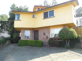 3 Schlafzimmer Haus zu verkaufen in Cuajimalpa De Morelos, Mexico City, Cuajimalpa De Morelos