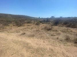  Land for sale in Punilla, Cordoba, Punilla