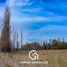  Land for sale in Neuquen, Confluencia, Neuquen