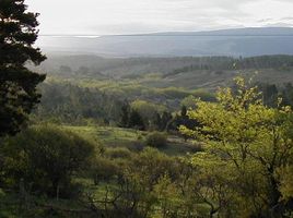  Terreno (Parcela) en venta en Santa Maria, Cordobá, Santa Maria