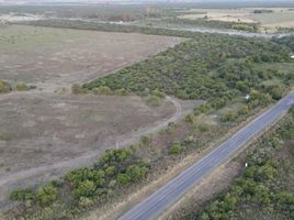  Land for sale in Gualeguaychu, Entre Rios, Gualeguaychu