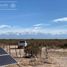  Land for sale in Tupungato, Mendoza, Tupungato