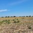  Land for sale in Gualeguaychu, Entre Rios, Gualeguaychu