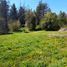  Land for sale in Rio Negro, Bariloche, Rio Negro