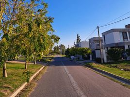  Land for sale in La Plata, Buenos Aires, La Plata