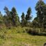  Land for sale in Concordia, Entre Rios, Concordia