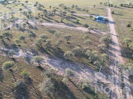  Land for sale in Junin, San Luis, Junin