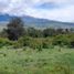 Land for sale in Bariloche Rio Negro, Bariloche