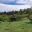  Land for sale in Bariloche Rio Negro, Bariloche