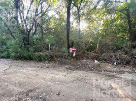  Land for sale in Junin, San Luis, Junin