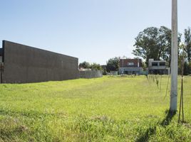Terrain à vendre à La Plata, Buenos Aires, La Plata