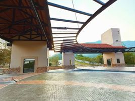  Terreno (Parcela) en venta en Allende, Nuevo León, Allende