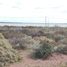  Land for sale in Neuquen, Confluencia, Neuquen