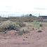  Land for sale in Neuquen, Confluencia, Neuquen