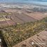  Terreno (Parcela) en venta en Lujan De Cuyo, Mendoza, Lujan De Cuyo