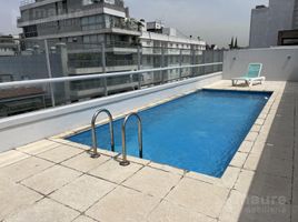 Estudio Apartamento en alquiler en Buenos Aires, Capital Federal, Buenos Aires