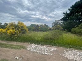  Land for sale in General Alvarado, Buenos Aires, General Alvarado