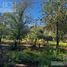  Land for sale in Zonda, San Juan, Zonda