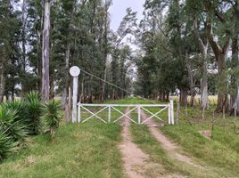  Land for sale in La Plata, Buenos Aires, La Plata