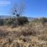  Land for sale in Junin, San Luis, Junin