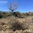  Land for sale in Junin, San Luis, Junin