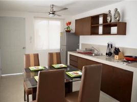1 Bedroom Apartment for rent in Merida, Yucatan, Merida, Yucatan