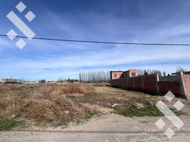  Terreno (Parcela) en venta en Neuquen, Confluencia, Neuquen