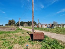 Grundstück zu verkaufen in La Plata, Buenos Aires, La Plata