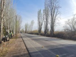  Land for sale in Maipu, Mendoza, Maipu