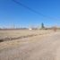  Land for sale in Maipu, Mendoza, Maipu