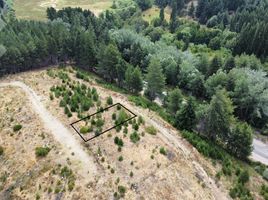  Land for sale in Neuquen, Lacar, Neuquen