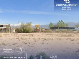  Terreno (Parcela) en venta en Lujan De Cuyo, Mendoza, Lujan De Cuyo