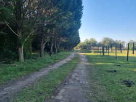 Terrain à vendre à Campana, Buenos Aires, Campana