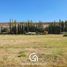  Land for sale in Confluencia, Neuquen, Confluencia