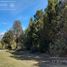  Land for sale in Rio Negro, Bariloche, Rio Negro