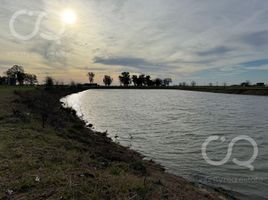  Land for sale in San Vicente, Buenos Aires, San Vicente