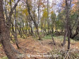  Land for sale in Neuquen, Los Lagos, Neuquen