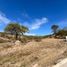  Land for sale in Santa Maria, Cordoba, Santa Maria