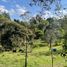  Terreno (Parcela) en venta en Rionegro, Antioquia, Rionegro, Antioquia, Colombia