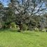  Terreno (Parcela) en venta en Rionegro, Antioquia, Rionegro, Antioquia, Colombia