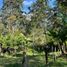  Terreno (Parcela) en venta en Rionegro, Antioquia, Rionegro, Antioquia, Colombia