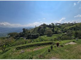  Land for sale in Manizales, Caldas, Manizales