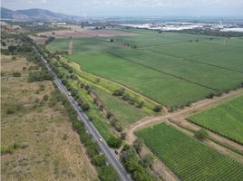  Land for sale in Palmira, Valle Del Cauca, Palmira