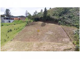  Land for sale in Envigado, Antioquia, Envigado