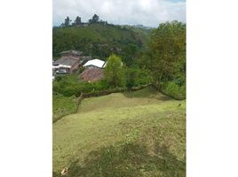  Terreno (Parcela) en venta en Caldas, Manizales, Caldas