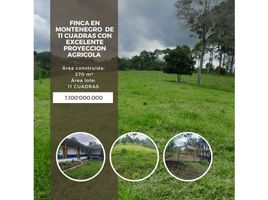 Estudio Casa en venta en Quindio, Armenia, Quindio